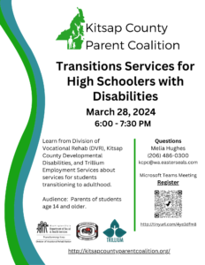 Services for High Schoolers with Disabilities